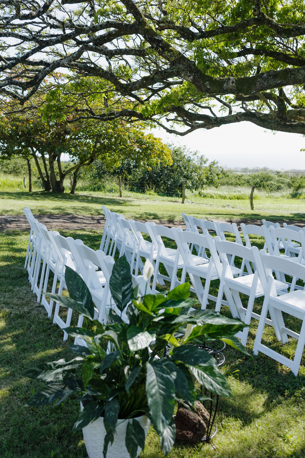 Koa's Events real venue and event gallery photograph 23